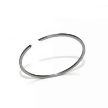 Segment Drujba 47mm x 1.5mm CABER ITALIA