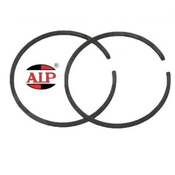 Segment Ø 48mm x 2 mm AIP